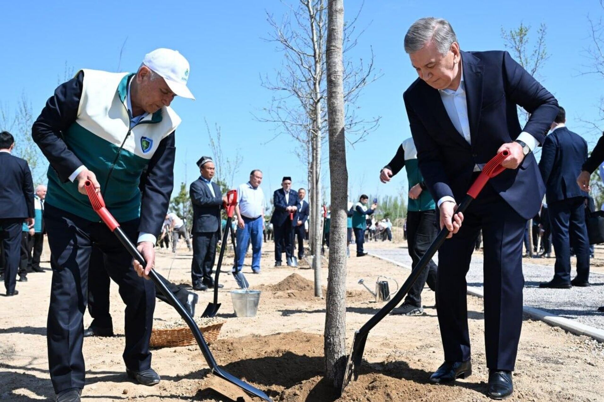 Шавкат Мирзиёев дал старт созданию Национального дендрологического парка - Sputnik Узбекистан, 1920, 01.04.2026