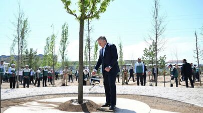 Шавкат Мирзиёев дал старт созданию Национального дендрологического парка