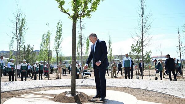 Шавкат Мирзиёев дал старт созданию Национального дендрологического парка Шавкат Мирзиёев дал старт созданию Национального дендрологического парка - Sputnik Узбекистан