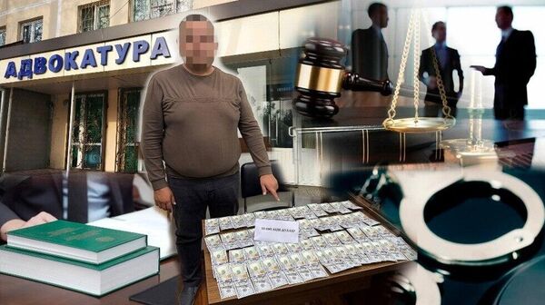 🟠В Ташобласти задержали адвоката, обещавшего смягчить наказание через знакомых в судебной системе - Sputnik Узбекистан