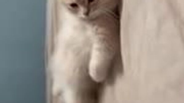 Сегодня в большинстве регионов Узбекистана ожидаются кратковременные дожди - Sputnik Узбекистан