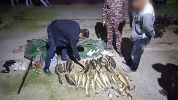 В Сырдарье выявили рыбаков, нанесших ущерб природе более чем на 730 млн сумов - Sputnik Узбекистан