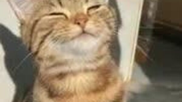 В отдельных районах Узбекистана возможны дожди - Sputnik Узбекистан