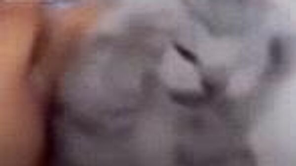 На Земле зафиксирована магнитная буря среднего уровня - Sputnik Узбекистан