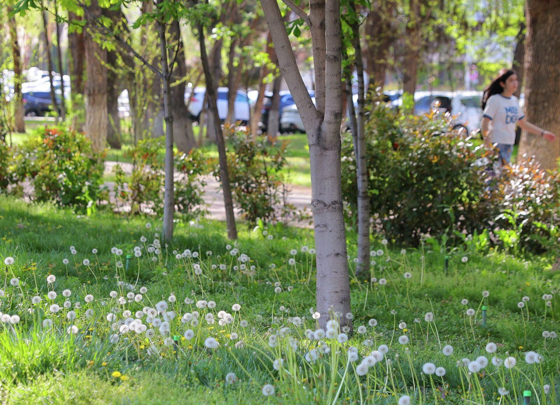 Баҳорги Тошкент
 - Sputnik Ўзбекистон, 1920, 03.04.2026