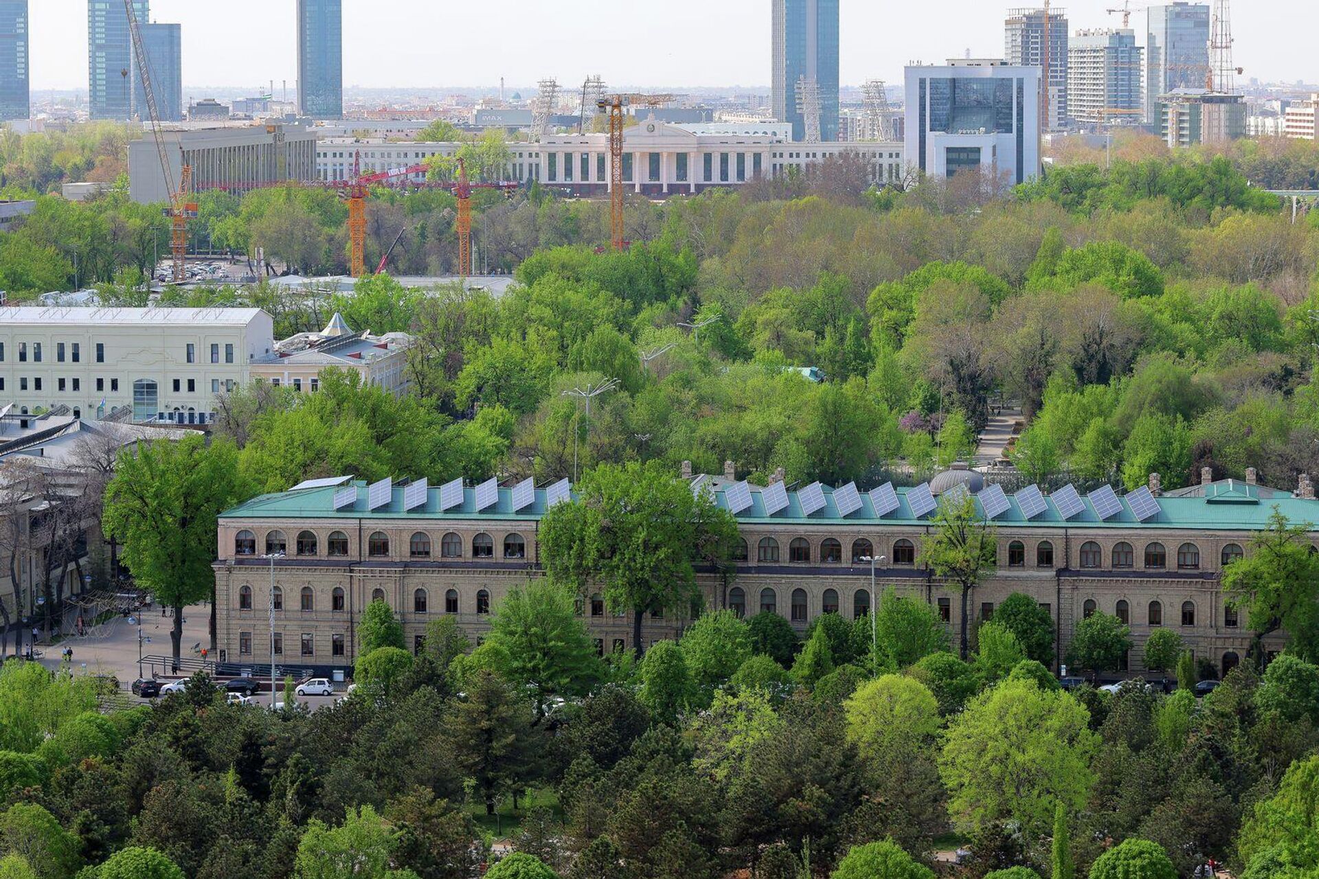 Баҳорги Тошкент - Sputnik Ўзбекистон, 1920, 03.04.2026