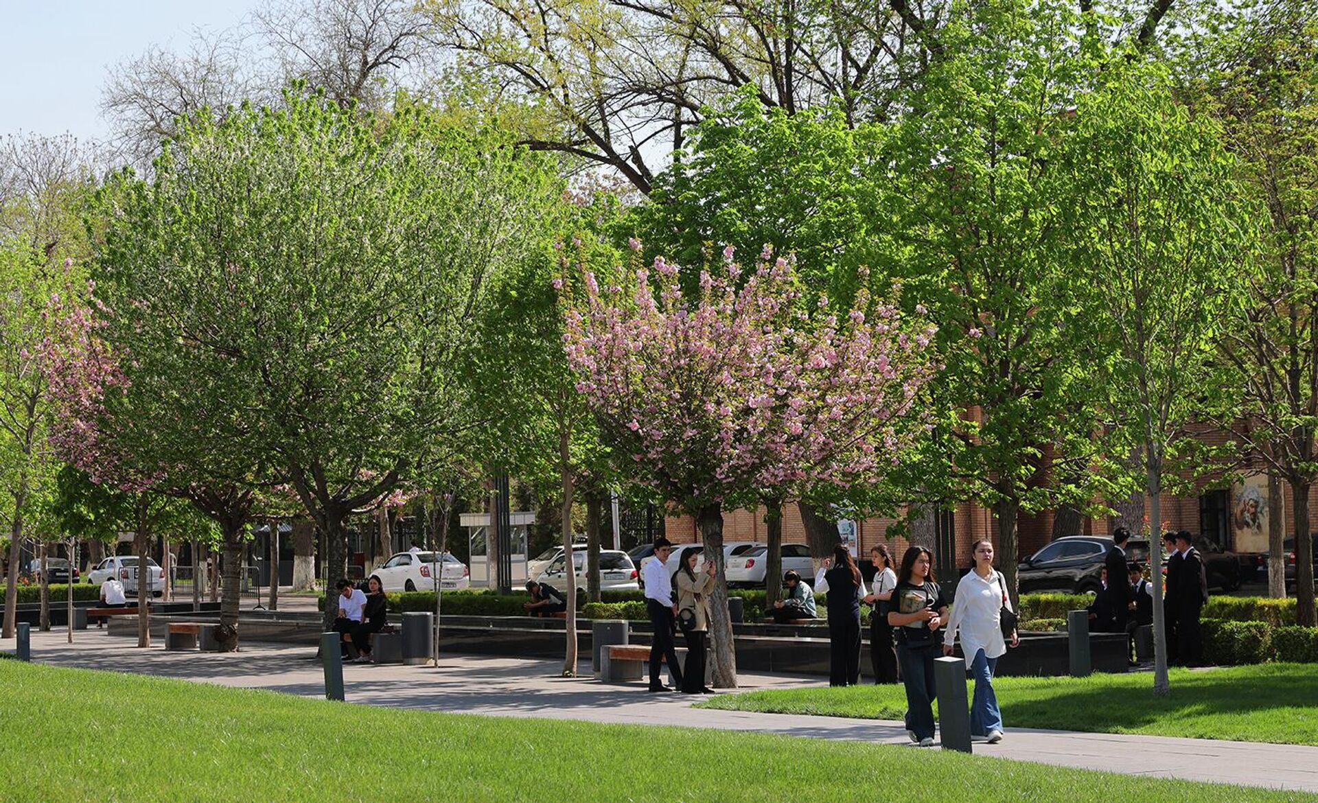 Баҳорги Тошкент
 - Sputnik Ўзбекистон, 1920, 03.04.2026