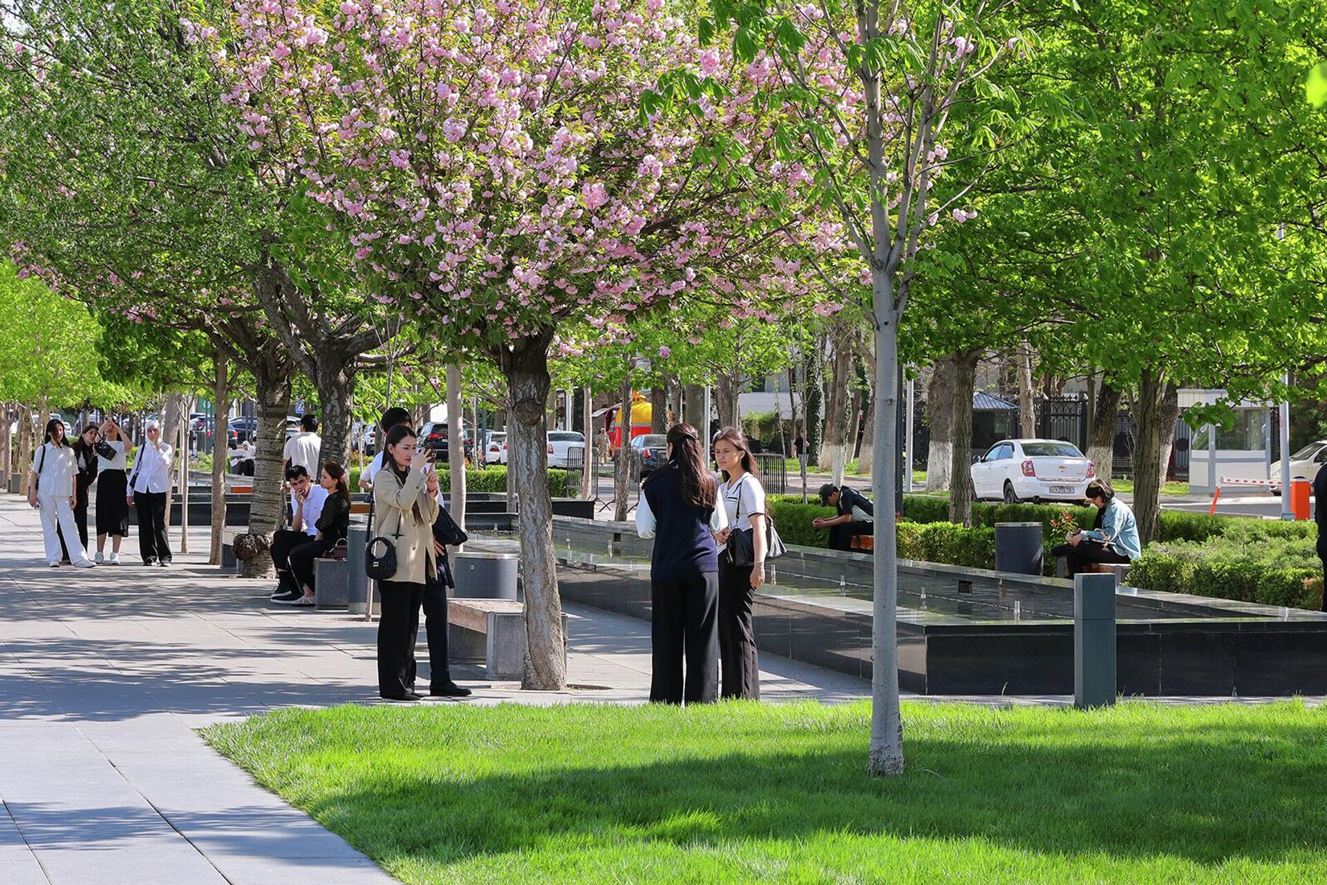 Баҳорги Тошкент - Sputnik Ўзбекистон, 1920, 03.04.2026