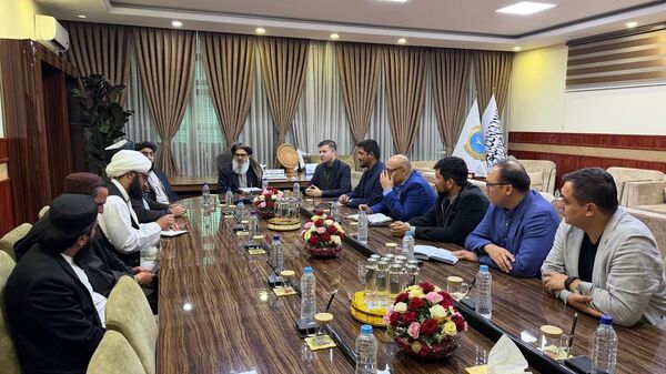 Узбекистан и Афганистан укрепляют сотрудничество в фармацевтической отрасли - Sputnik Узбекистан