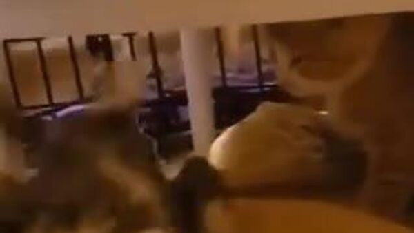 Сегодня на большей части Узбекистана ожидаются дожди - Sputnik Узбекистан