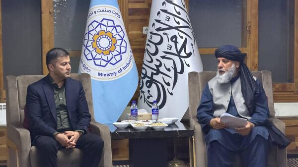 Uzbekistan i Afganistan planiruyut dovesti torgovlyu farmproduksiyey do 500 millionov dollarov - Sputnik O‘zbekiston