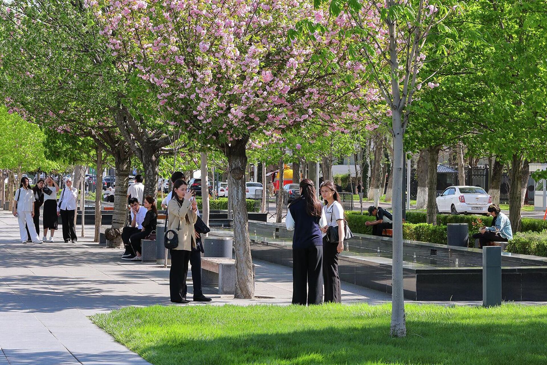 Bahorgi Toshkent - Sputnik O‘zbekiston, 1920, 03.04.2026