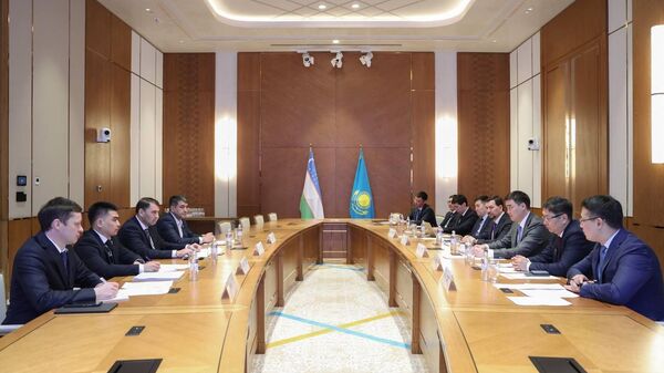 Казахстан и Узбекистан провели заседание рабочей группы по геологии и редкоземельным металлам - Sputnik Узбекистан
