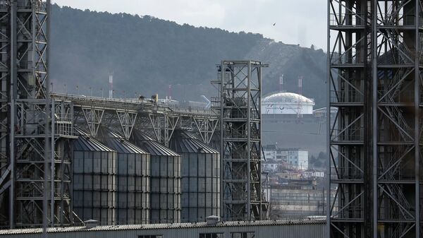 Нефтяной терминал в порту Новороссийска - Sputnik Узбекистан