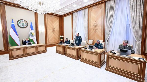 Президент ознакомился с презентацией предложений по обеспечению общественной безопасности - Sputnik Ўзбекистон