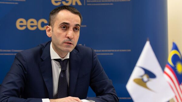 YeEK i pravitelstvo Malayzii obsudili perspektivnie napravleniya sotrudnichestva - Sputnik O‘zbekiston