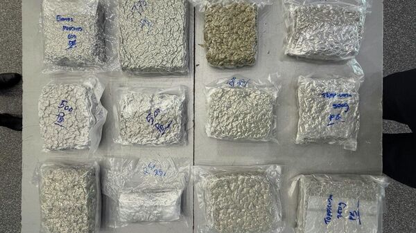 🟠 В аэропорту Ташкента пресекли ввоз более 6 кг марихуаны - Sputnik Узбекистан