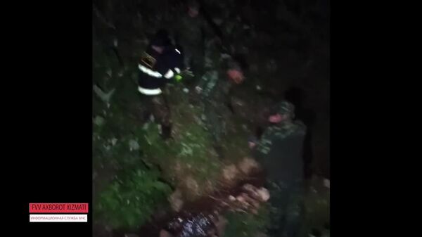 Сотрудники МЧС спасли четырехлетнего ребенка в горах Ташобласти, которого забыли взрослые - Sputnik Узбекистан