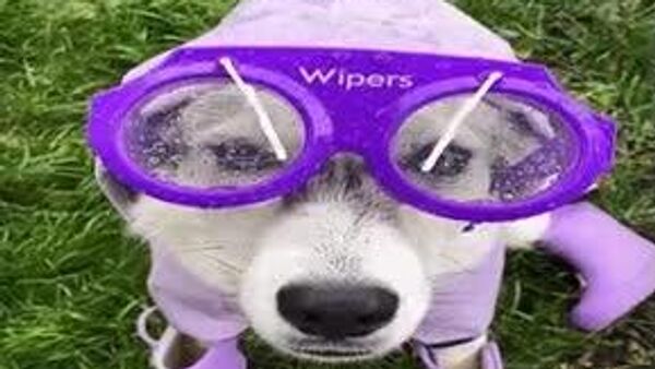 Сегодня по Узбекистану вновь пройдут дожди, местами сильные - Sputnik Узбекистан