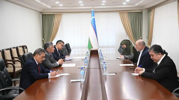 Первый замминистра иностранных дел Узбекистана провел встречу с послом Ирана - Sputnik Узбекистан