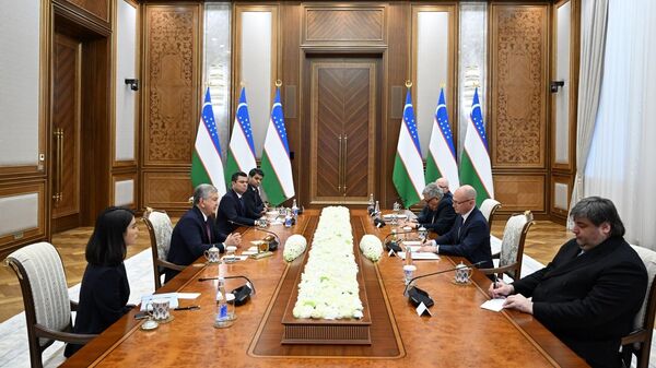 Президент Узбекистана принял делегацию России - Sputnik Узбекистан