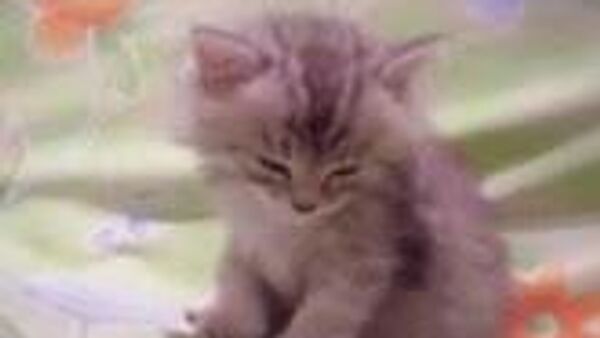 Сегодня в Узбекистане без осадков - Sputnik Узбекистан