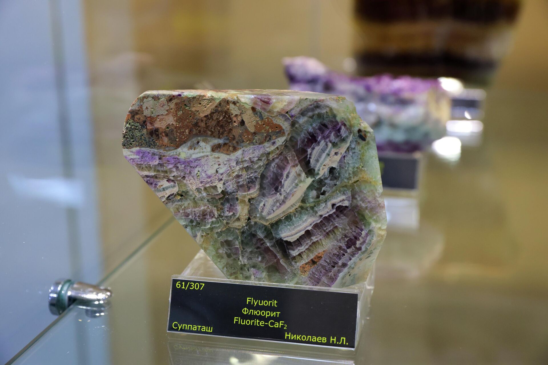 Государственный геологический музей - Sputnik Узбекистан, 1920, 20.04.2026