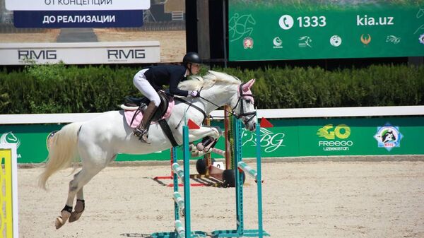 В Ташкенте стартовали международные соревнования по конкуру. - Sputnik Узбекистан