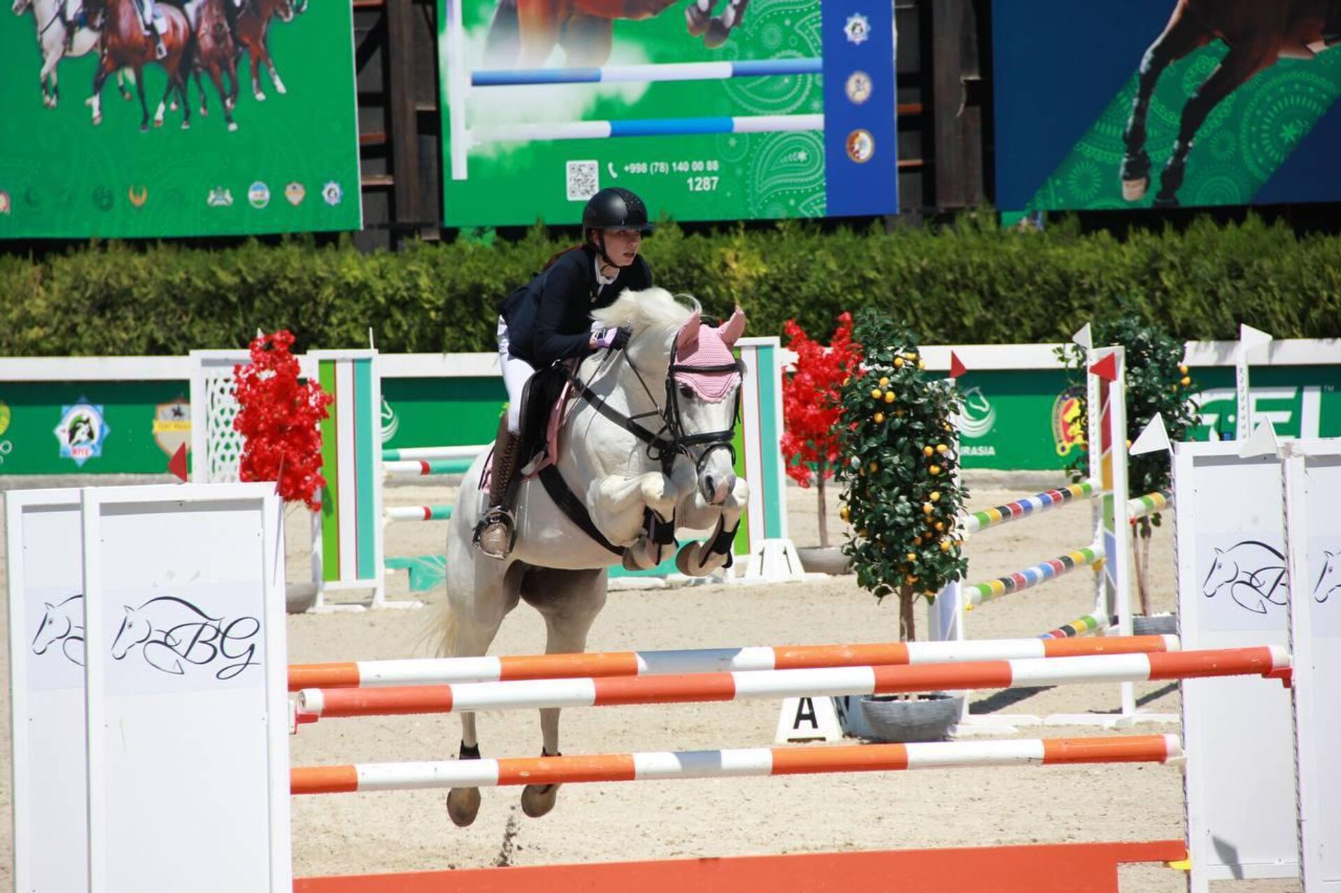 В Ташкенте стартовали международные соревнования по конкуру. - Sputnik Узбекистан, 1920, 25.04.2026