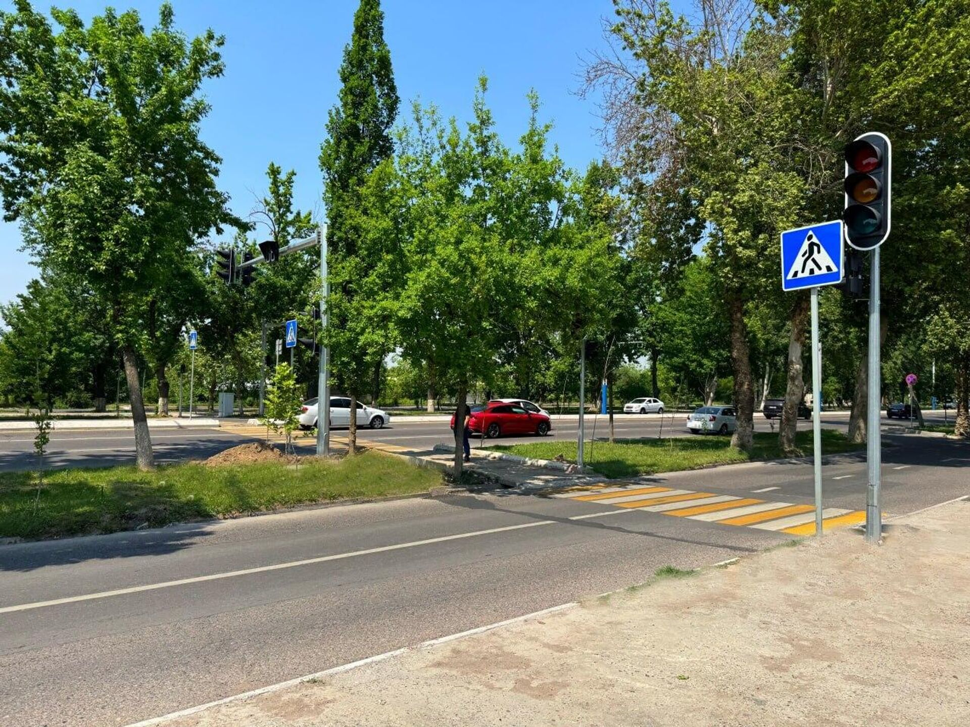 На проспекте Бунёдкор в Ташкенте появились регулируемые пешеходные переходы рядом с улицей Сугалли ота и рынком Ипподром - Sputnik Узбекистан, 1920, 27.04.2026