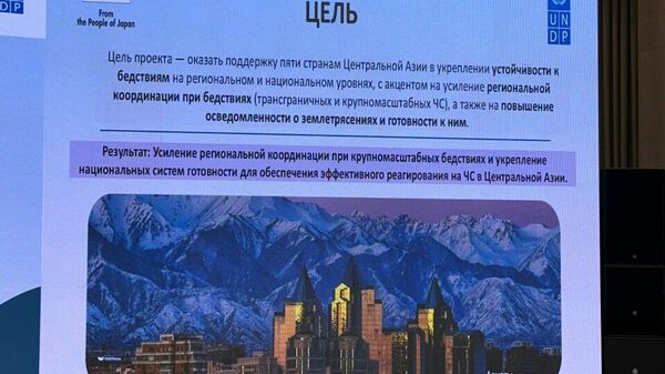 Проект ПРООН по усилению системы снижения рисков бедствий в ЦА представили в Ташкенте - Sputnik Узбекистан