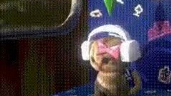 Сегодня в Узбекистане ожидаются осадки - Sputnik Узбекистан