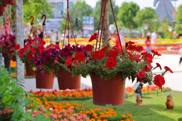 Фестиваль цветов Tashkent Flowers Fest 2026 - Sputnik Узбекистан