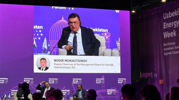 Почти по всем месторождениям Узбекистана созданы геолого-гидродинамические модели - Sputnik Ўзбекистон