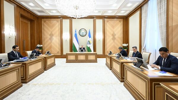 Президент ознакомился с презентацией о мерах по сокращению бюрократии в сфере госуслуг - Sputnik Ўзбекистон