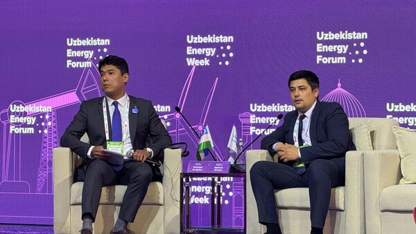 30% выработки электроэнергии в Узбекистане приходится на возобновляемые источники энергии - Sputnik Ўзбекистон