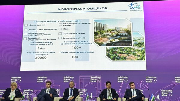 Численность населения моногорода атомщиков будет составлять 30000 человек -Хидирназарова - Sputnik Ўзбекистон