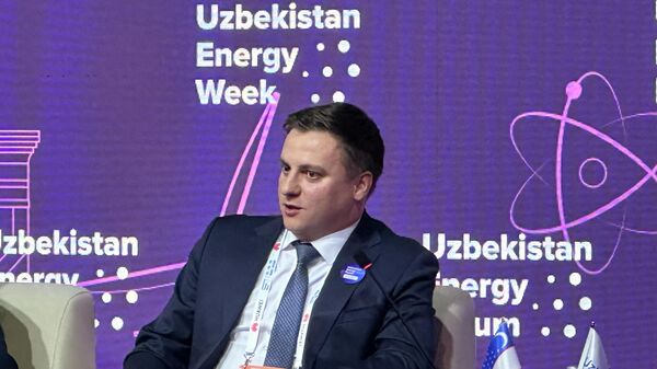 Рассчитываем в ближайшие недели выйти на первый бетон - представитель Росатома - Sputnik Ўзбекистон