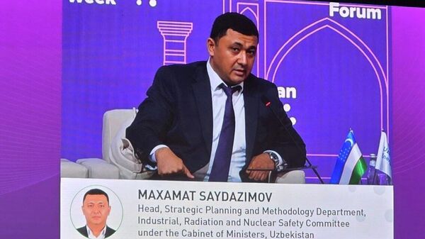 В Узбекистане на 46% магистральных газопроводов нет возможности использовать технологии внутритрубной диагностики - Sputnik Узбекистан