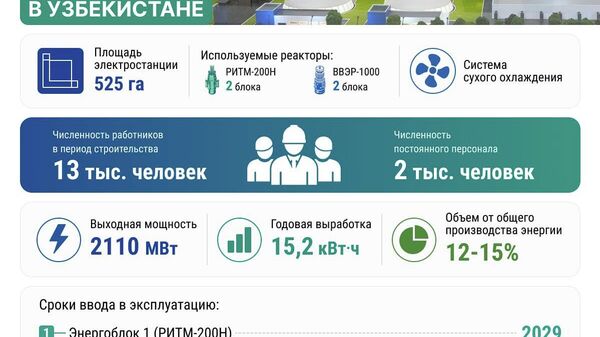 Какой будет АЭС в Узбекистане ? - Sputnik Узбекистан