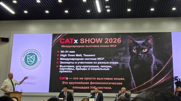 Ташкент на три дня станет столицей кошек - Sputnik Узбекистан