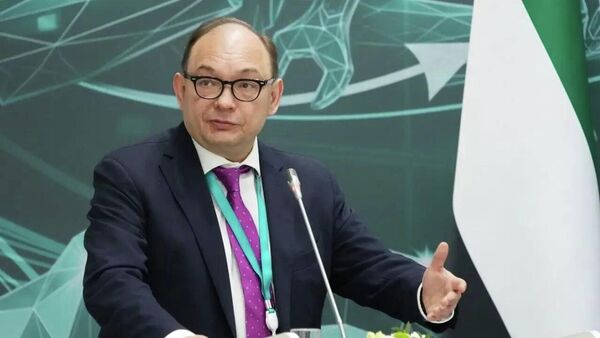 Выступление директора Департамента экономического сотрудничества МИД РФ Д.А.Биричевского - Sputnik Ўзбекистон