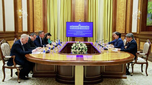 Председатель Сената Олий Мажлиса Танзила Нарбаева встретилась с региональным директором Международной организации по миграции по Европе и Центральной Азии Артуром Еркеном - Sputnik Узбекистан