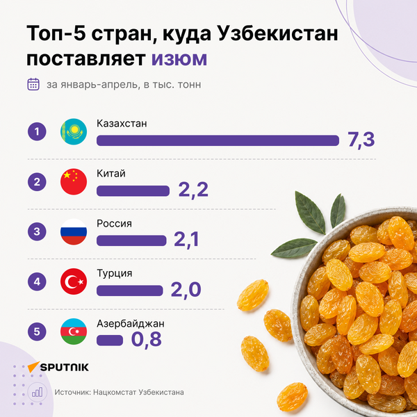 Топ-5 стран, куда Узбекистан поставляет изюм - Sputnik Узбекистан