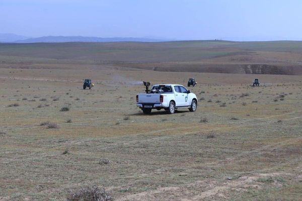 МЧС: Ситуация с саранчой в западных регионах РУз находится под полным контролем МЧС: Ситуация с саранчой в западных регионах РУз находится под полным контролем - Sputnik Узбекистан
