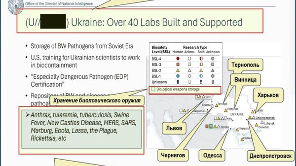 На Украине разрабатывают биологическое оружие — получены новые подтверждения, сообщили в Минобороны РФ - Sputnik Узбекистан