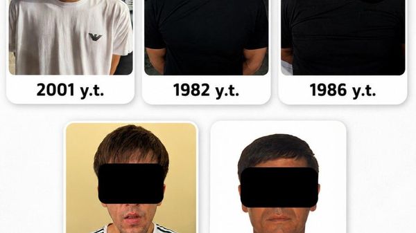 В Узбекистане пресекли незаконный оборот наркотиков и сильнодействующих препаратов - Sputnik Узбекистан
