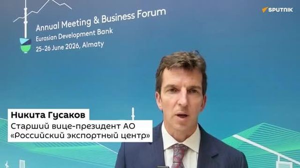 Узбекистан остается главным партнером России по линии экспортной поддержки - Sputnik Узбекистан