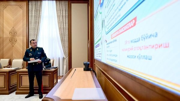 Инспекторов профилактики в Узбекистане освободят от дополнительных функций, не относящихся к их обязанностям - Sputnik Узбекистан