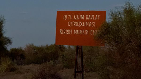 Кызылкумский государственный заповедник - Sputnik Узбекистан